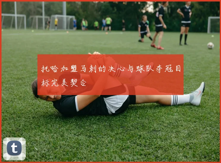托哈加盟马刺的决心与球队夺冠目标完美契合