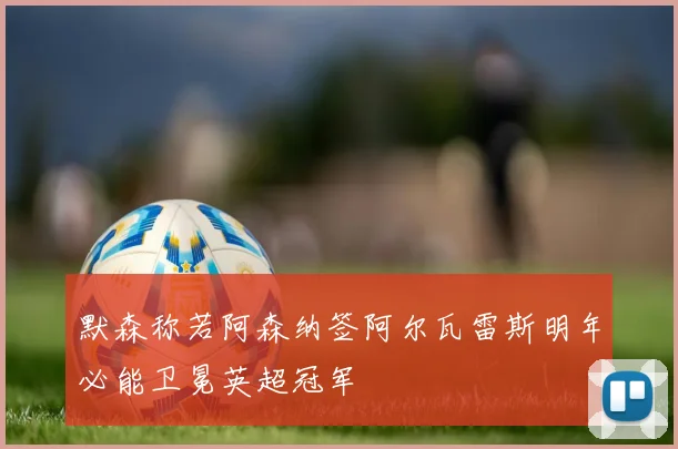默森称若阿森纳签阿尔瓦雷斯明年必能卫冕英超冠军